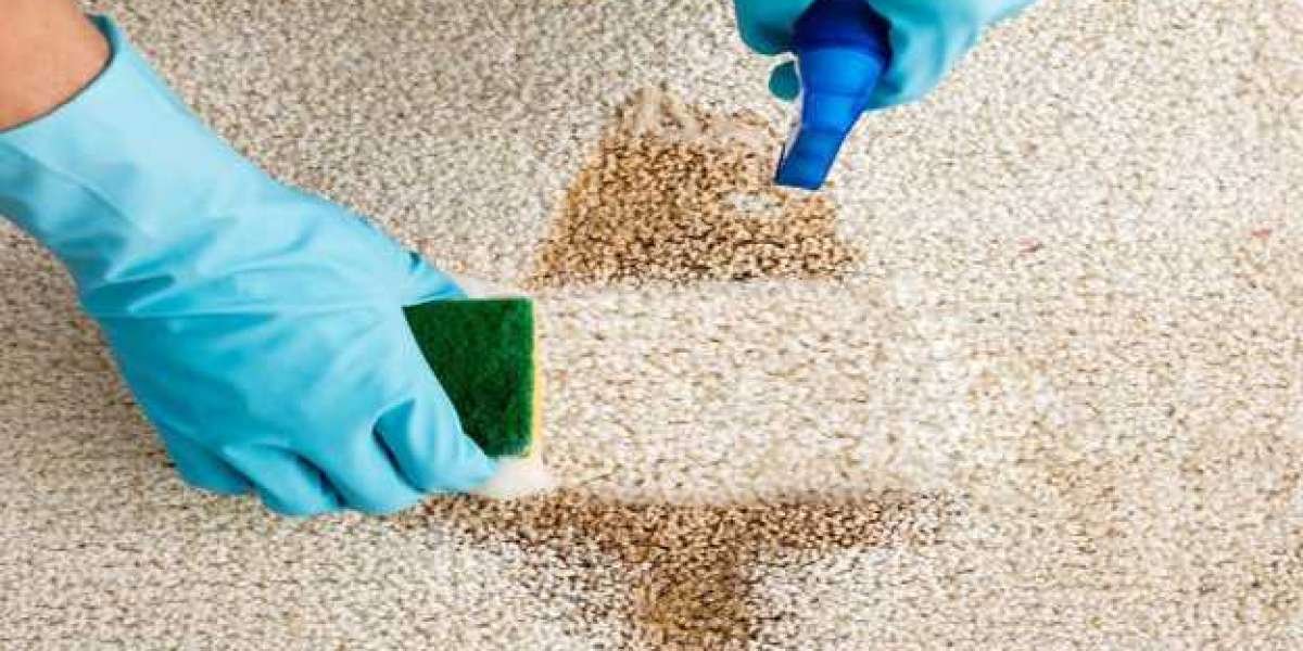 Comprehensive Rug and Carpet Cleaning by Carpet Pros in Charlotte