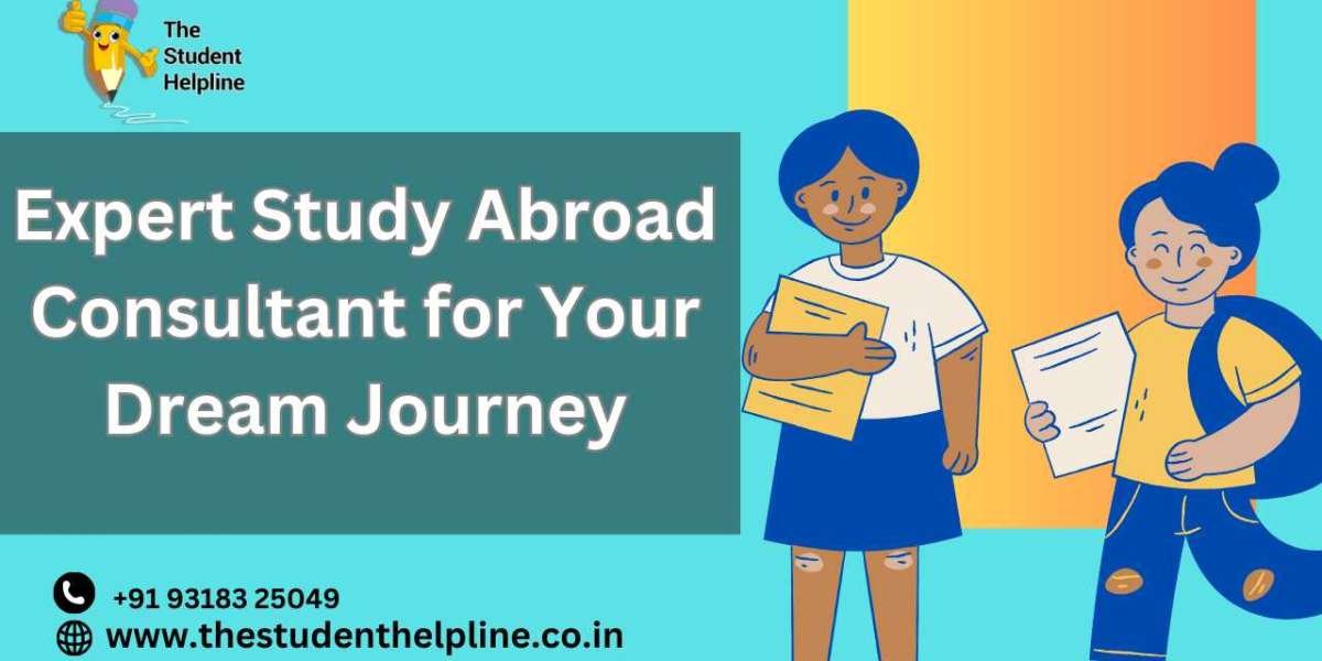 Expert Study Abroad Consultant for Your Dream Journey