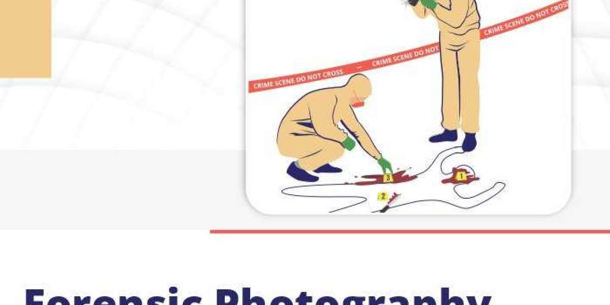 Forensic Photography Online Course: Crime Scene to Lab