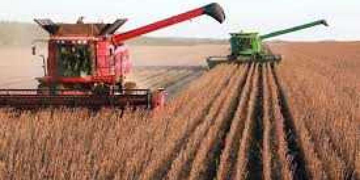 China Agricultural Equipment Market Analysis Size And Forecast Report 2024-2030