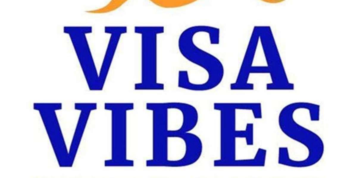 Professional Education Consultancy Sydney - VISA VIBES PTY LTD