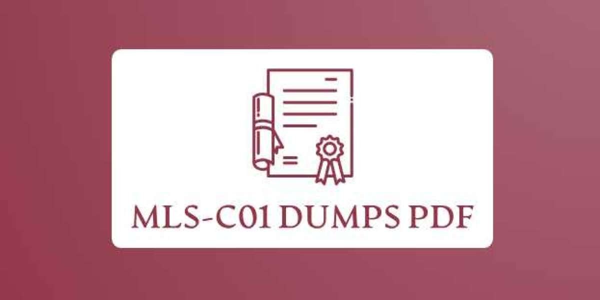 Ace the MLS-C01 Exam Effortlessly with DumpsBoss Dumps PDF